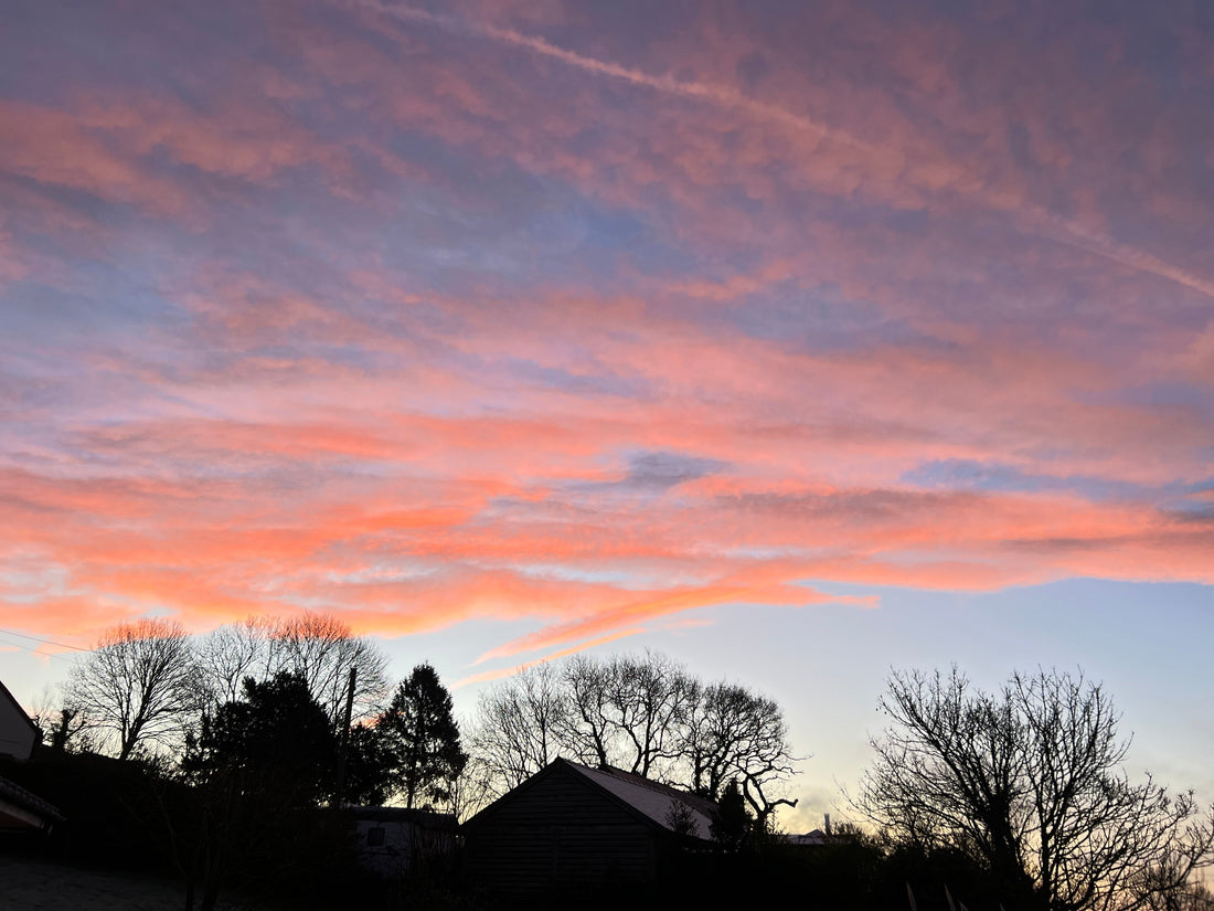 A Cold Morning and Looking Ahead