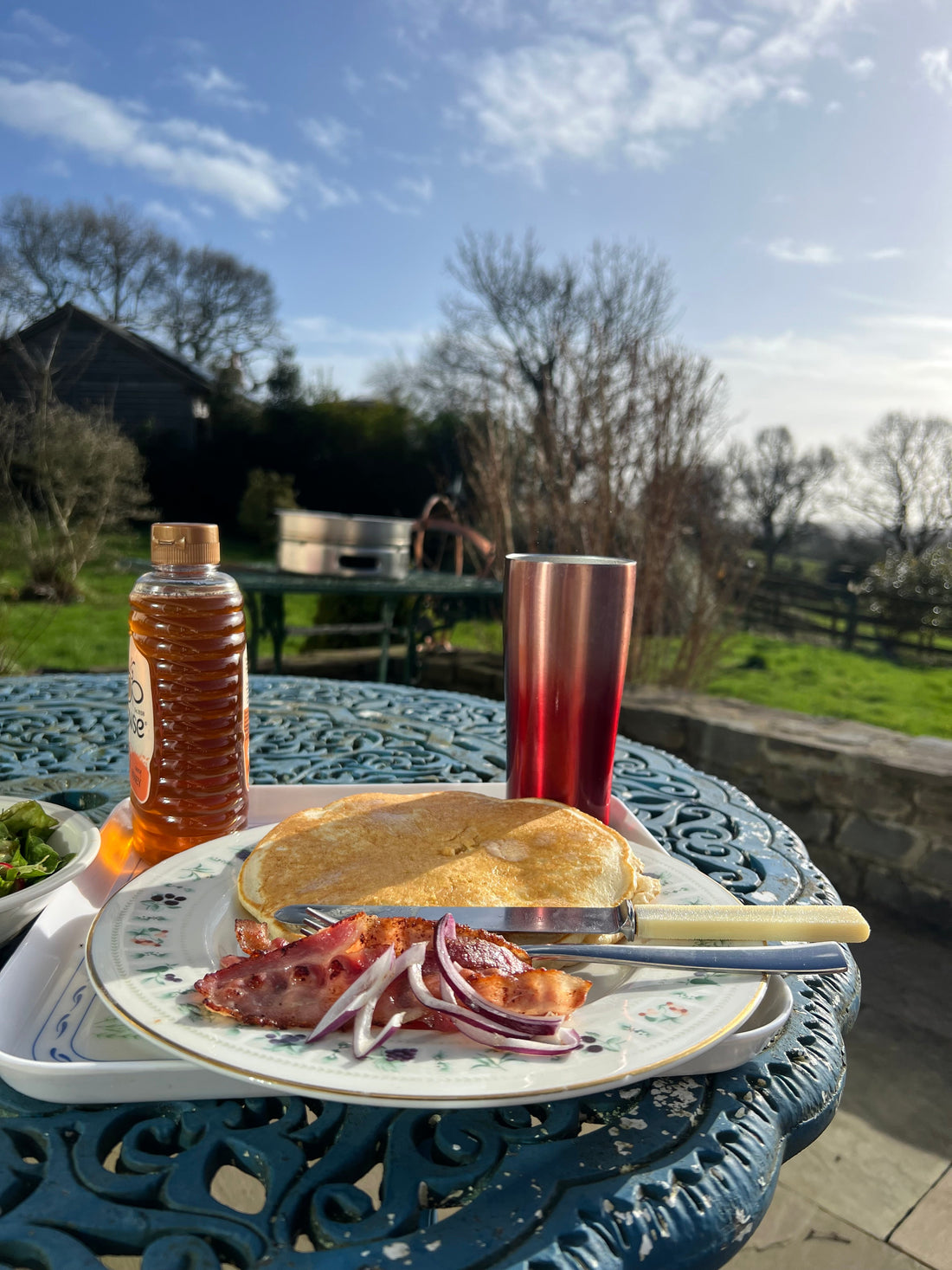 A Little Sunlight in February