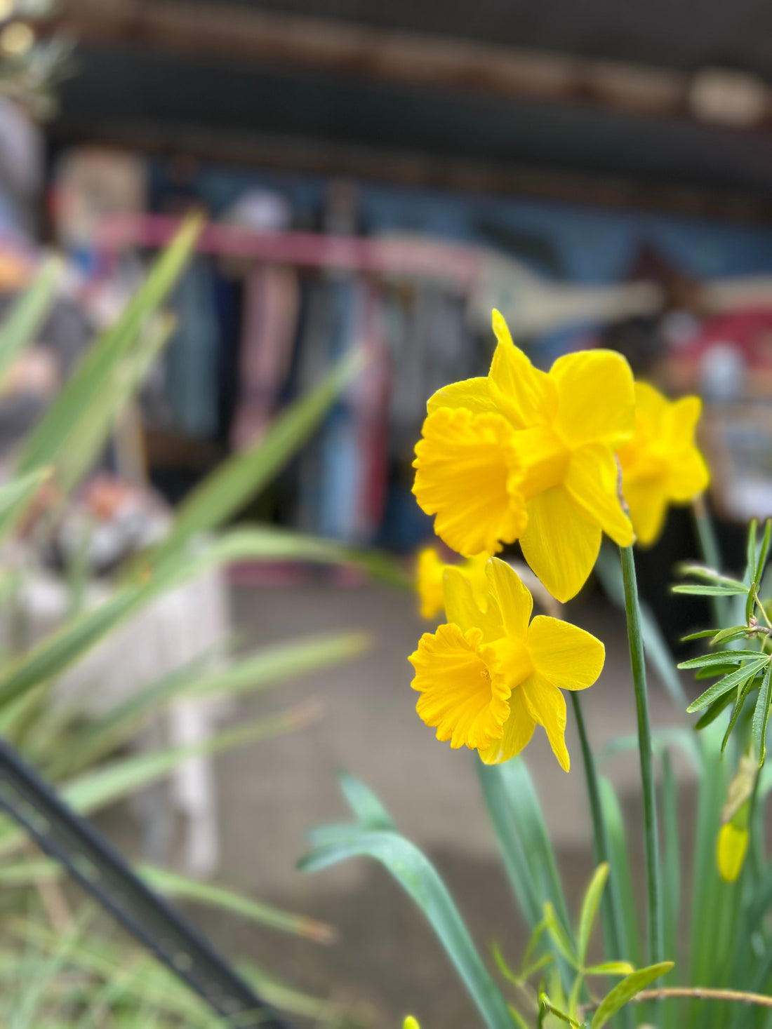 Less, But Better at Tobacco Factory Market