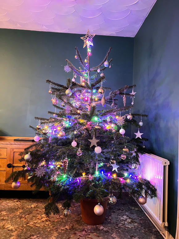 CHRISTMAS