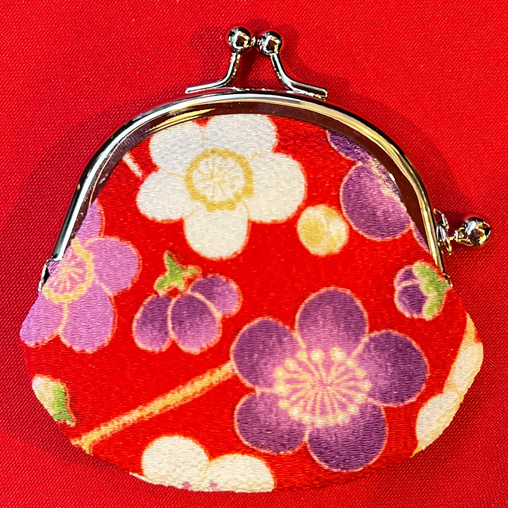 Cute little bag with a clasp