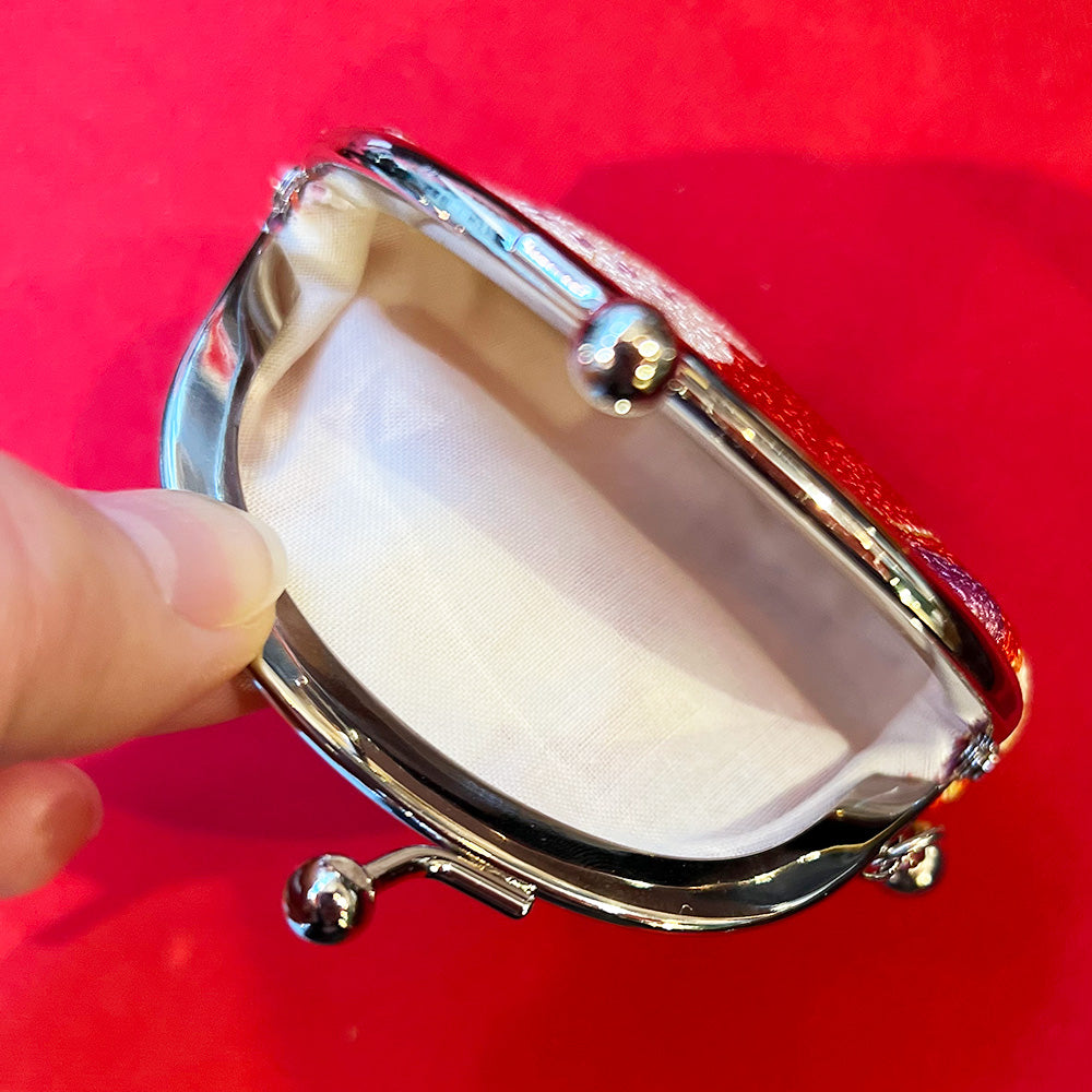 Cute little bag with a clasp