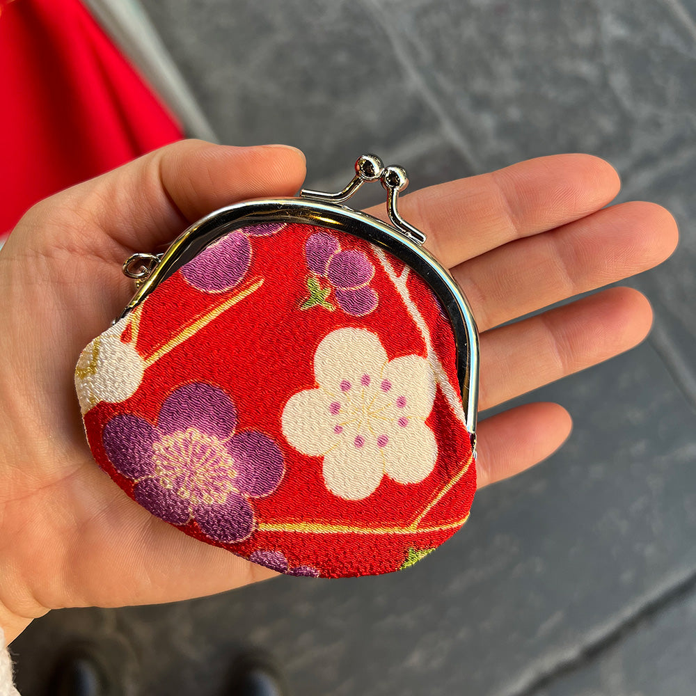 Cute little bag with a clasp