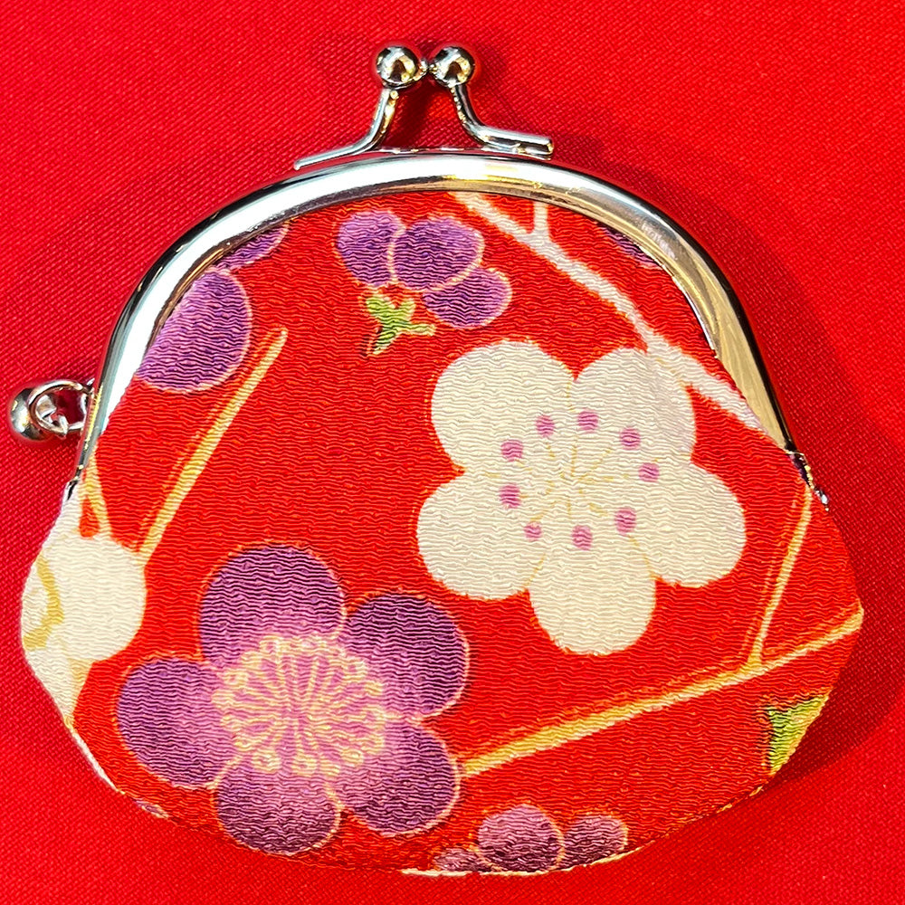 Cute little bag with a clasp